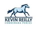 Kevin Reilly Connemara Ponies